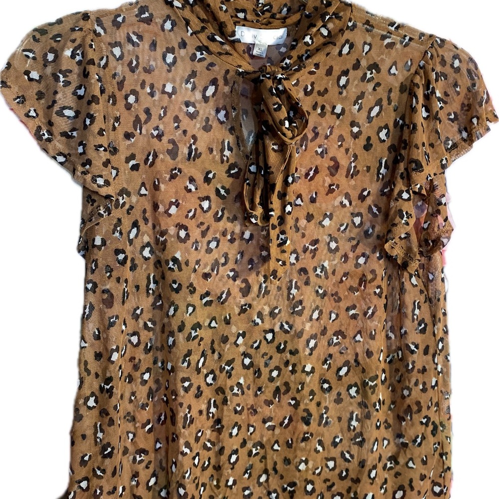 Leopard Print Sheer Top